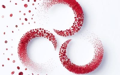 When the Slowest Stakeholder Sets the Pace: What Sickle Cell and Thalassemia Reveal About Europe’s Rare Disease Reform